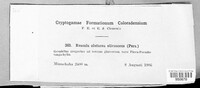 Image Associated With the Occurence